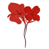 pngtree-red-canna-flower-png-image_2946708-removebg-preview