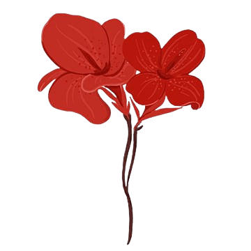 pngtree-red-canna-flower-png-image_2946708-removebg-preview